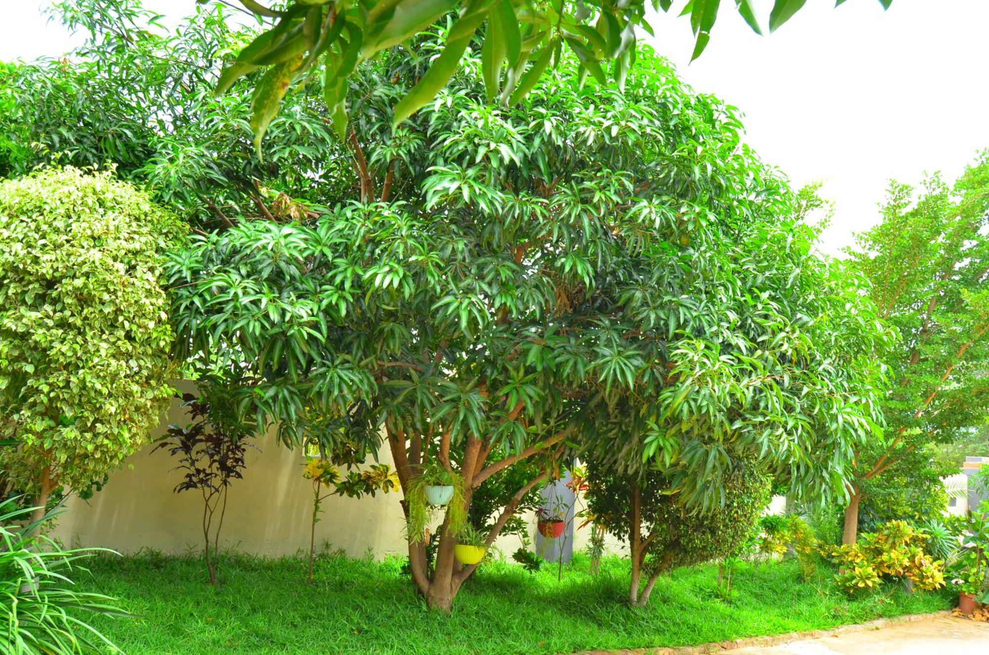 Chobe Kulotu Guest House Kasane Esterno foto